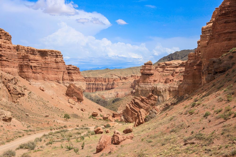 Photograph by Александра Корнеева