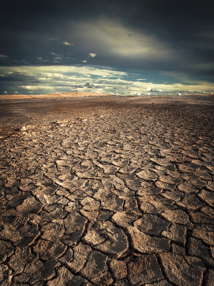 Photograph by Игорь Толкачев