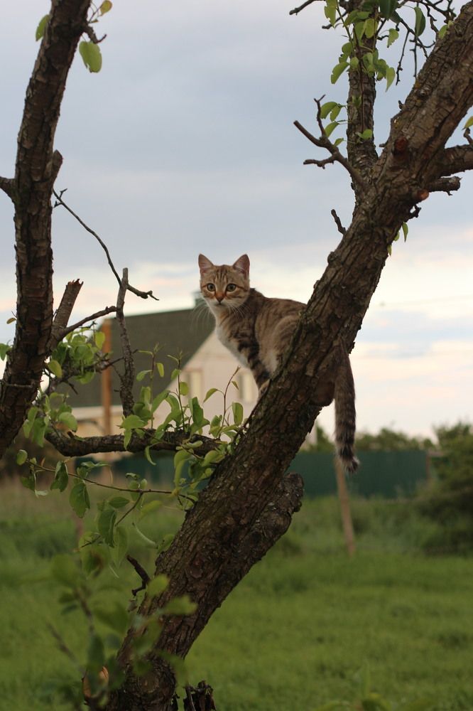 Photograph by Мария Митюкова