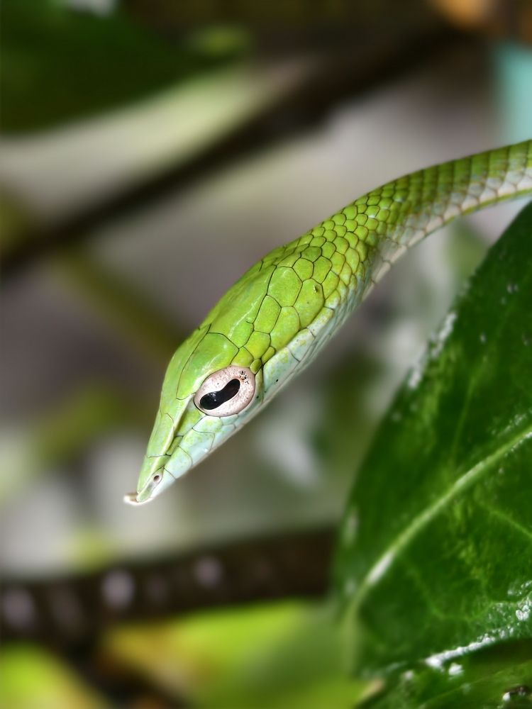 Photograph by Vikrant Khedekar