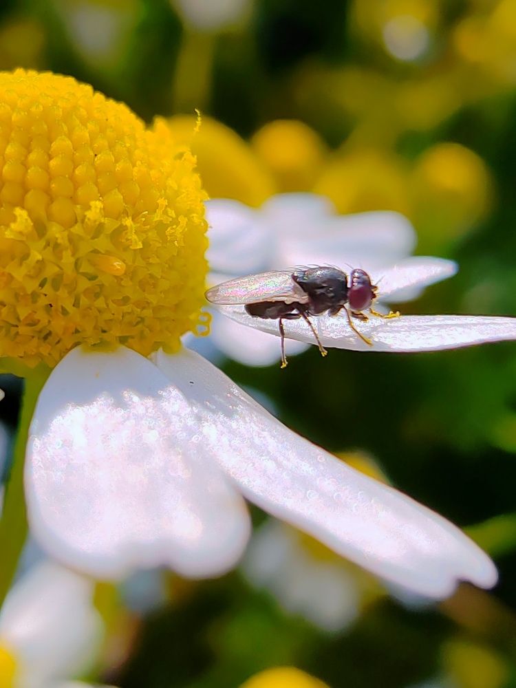 Photograph by Марина