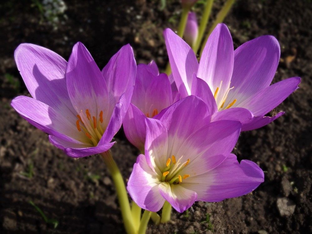 Photograph by Марина Раткун