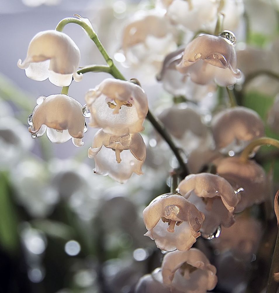 Фотография автора Александр