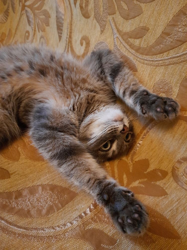 Photograph by Татьяна