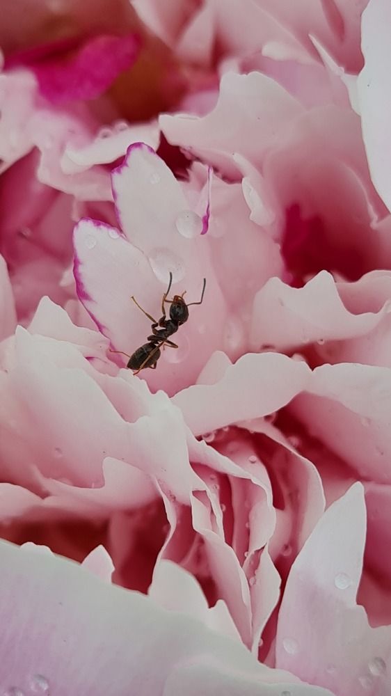 Photograph by Юлия