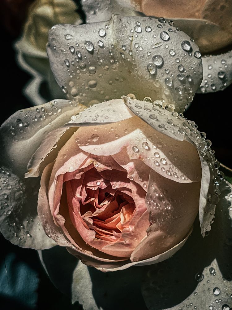 Photograph by Анна Белова