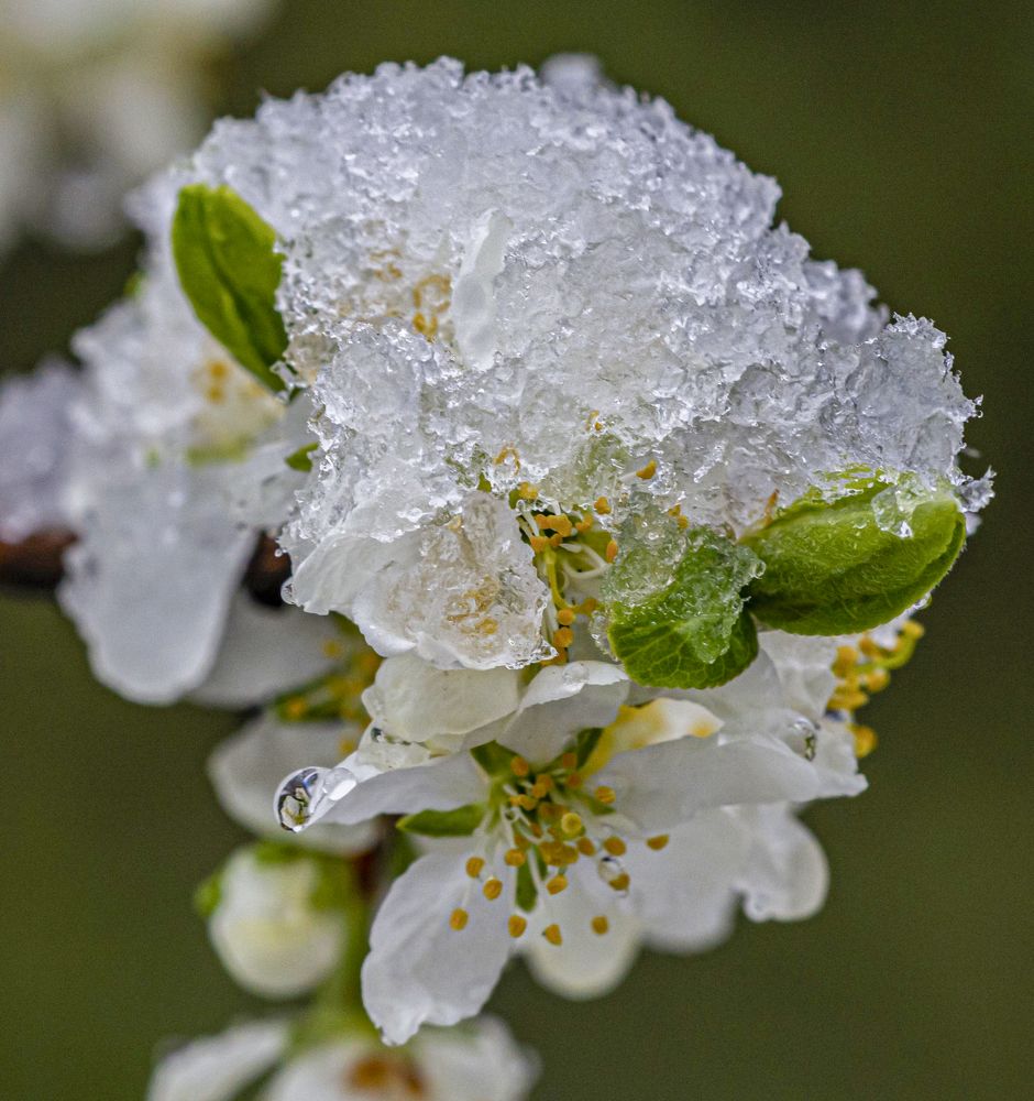 Photograph by Савчук Сергей