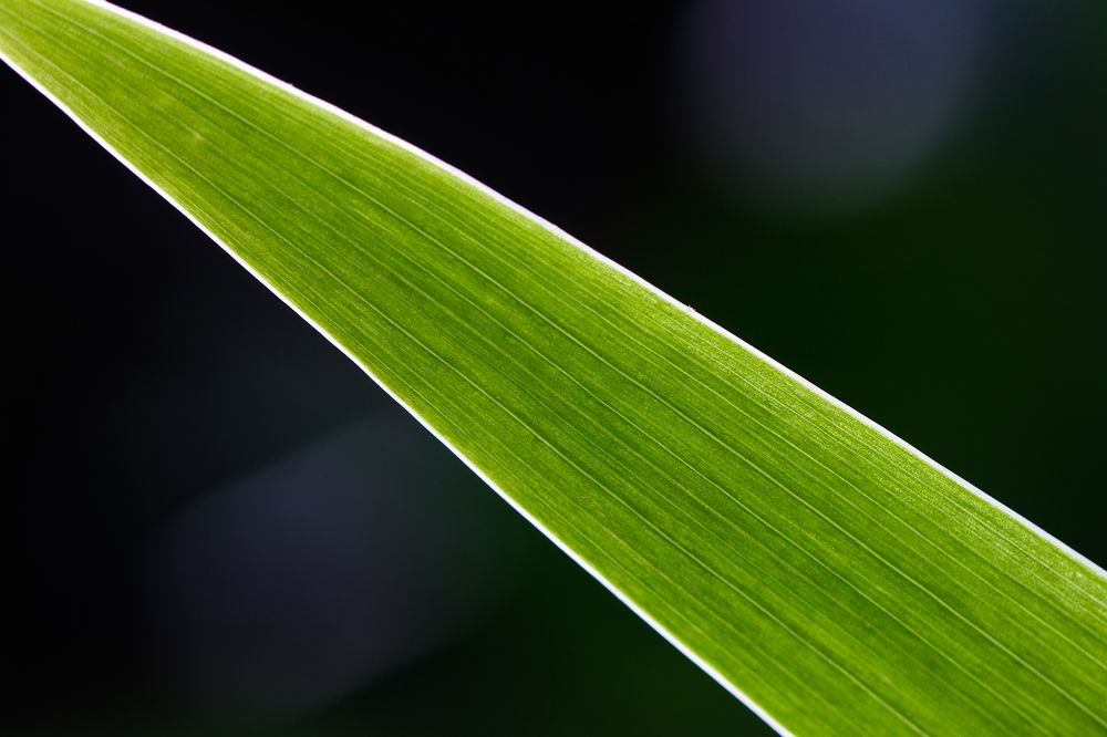 Photograph by Шпирко Михаил