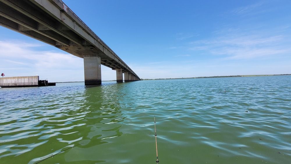 Photograph by Gilson Marcos Ferreira de Oliveira Oliveira