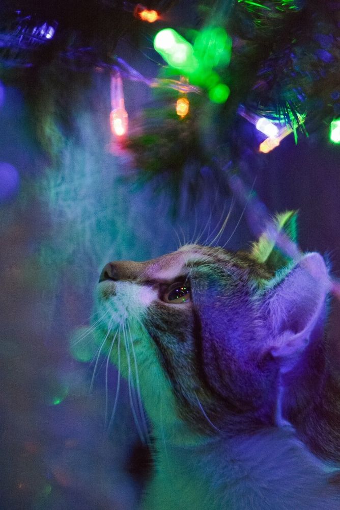 Photograph by Very Good