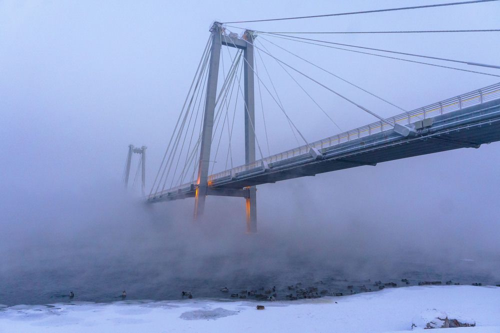 Photograph by Александр Пургин