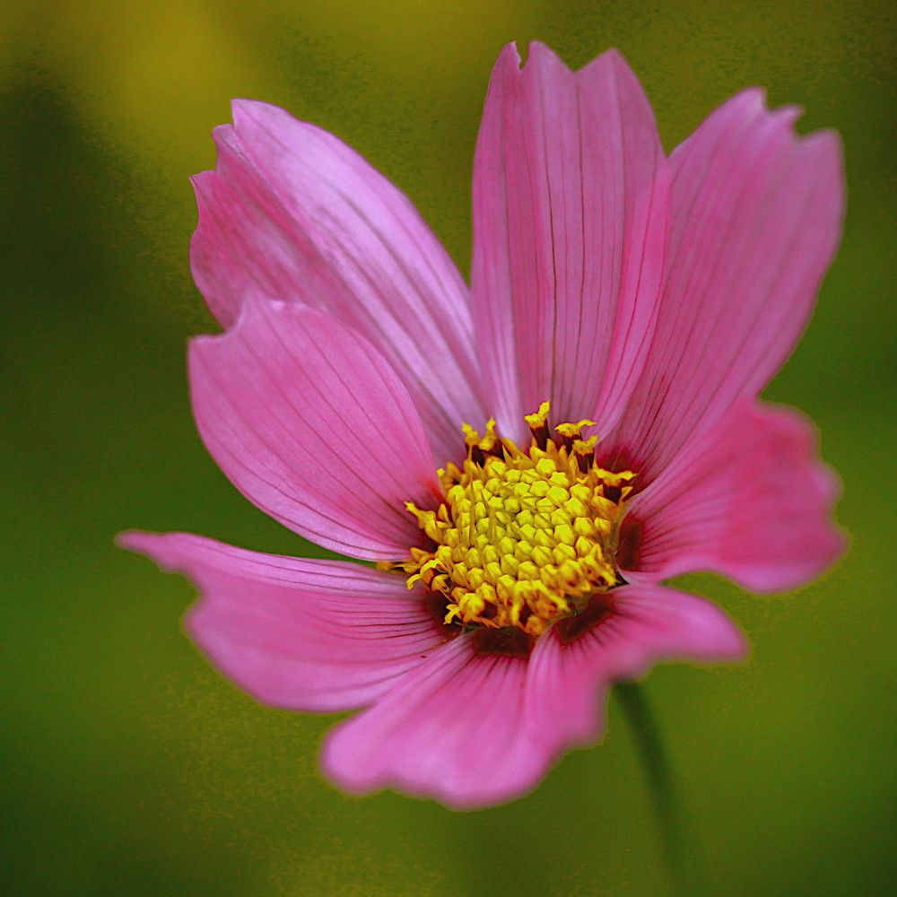 Photograph by Гагик Саркисян