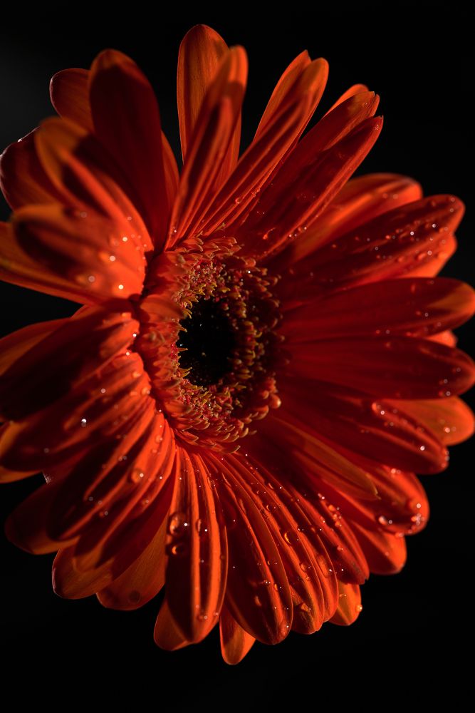 Photograph by Ирина Аверьянова