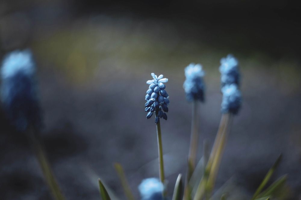 Photograph by Алексей Коротеев