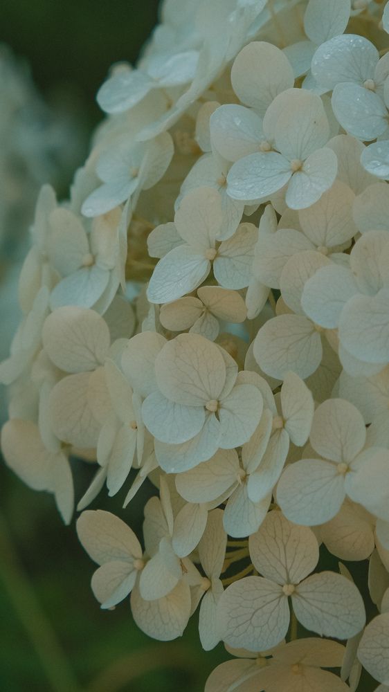 Photograph by Ирина Баринова