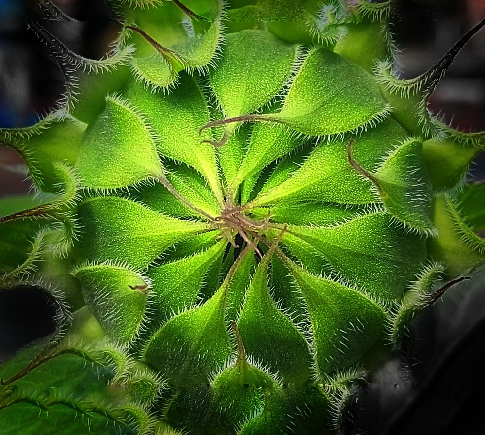 Photograph by Елена Кирикова