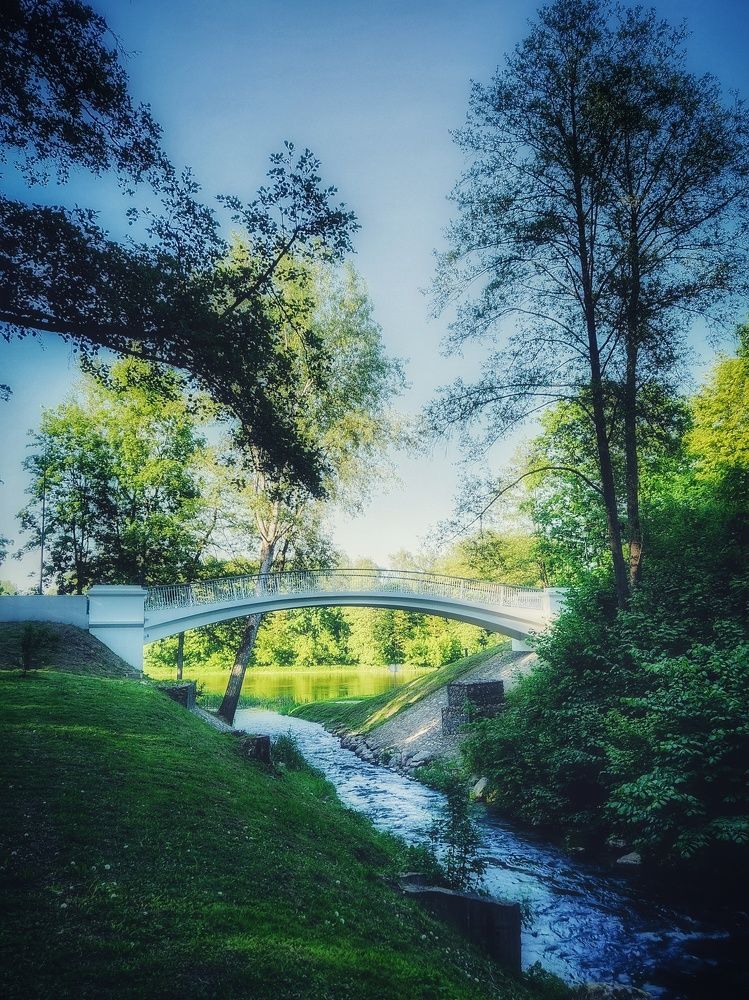 Photograph by Александра Кропивка