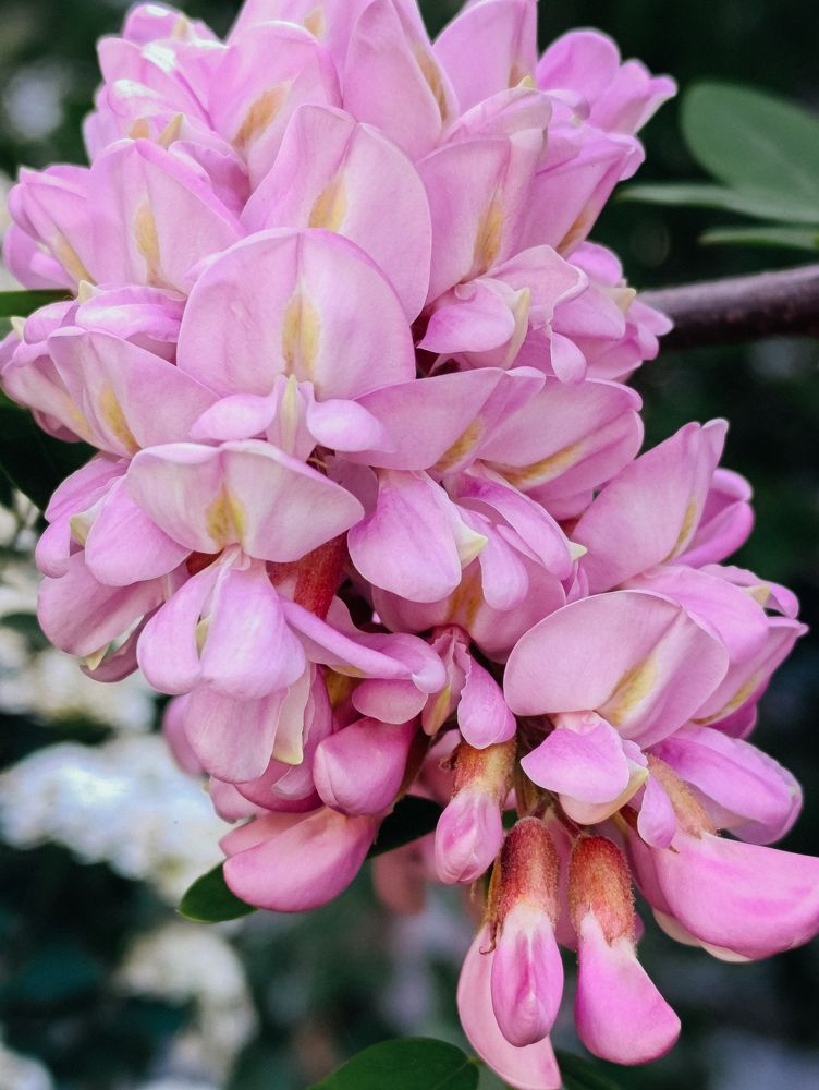 Photograph by Юлия Жукова