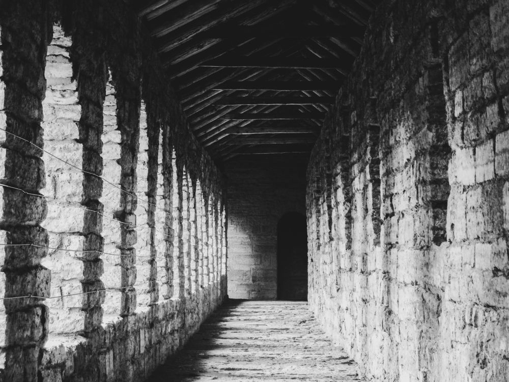 Photograph by Анастасия Толмачева