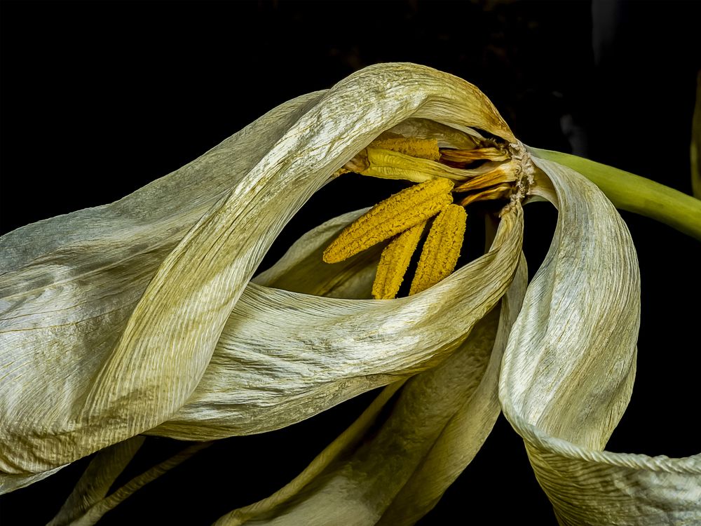 Photograph by Denis Polushin