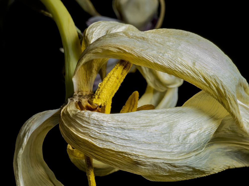 Photograph by Denis Polushin