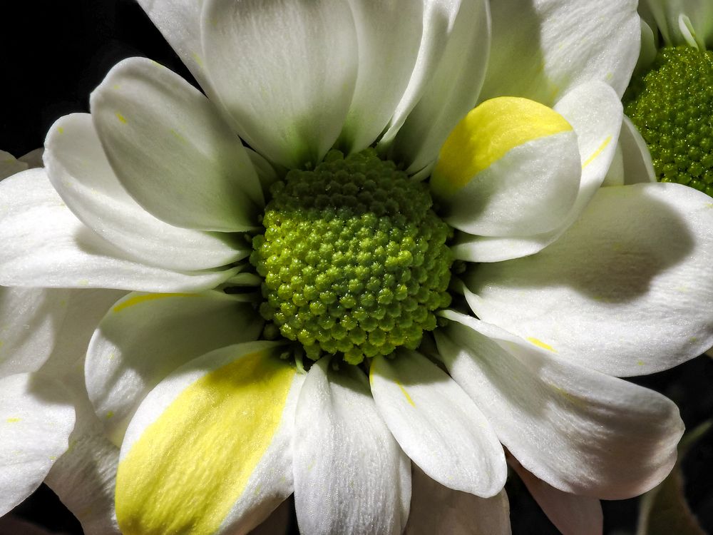 Photograph by Denis Polushin