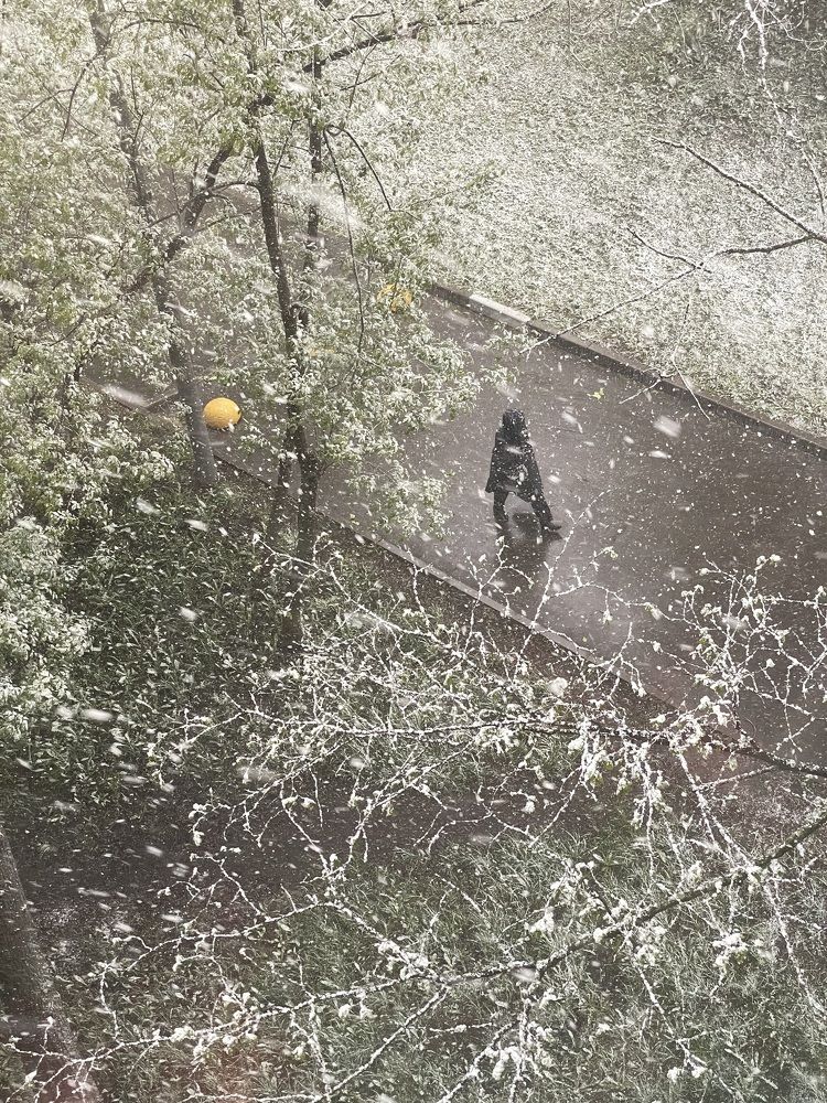 Photograph by Роман Худяков