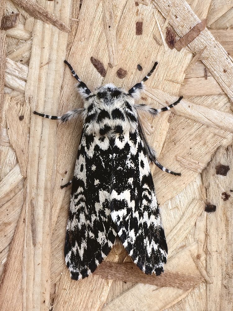 Photograph by Виолетта Беккер