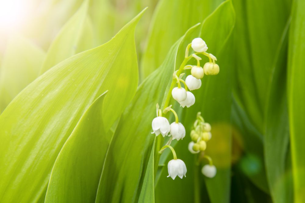 Фотография автора Алена