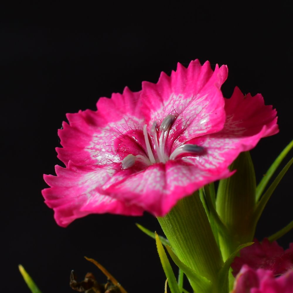 Photograph by Николай Абакумов