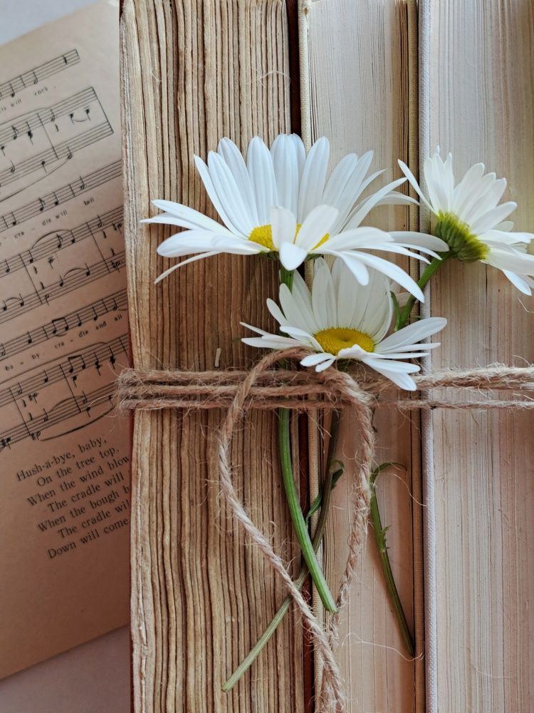 Photograph by Марина Леонова