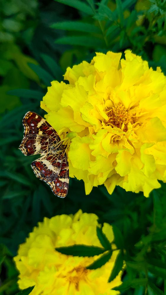 Photograph by Князев Сергей