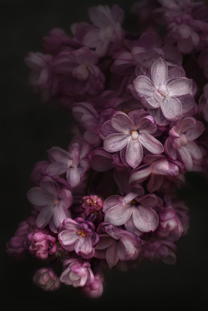 Photograph by Светлана Алексеева