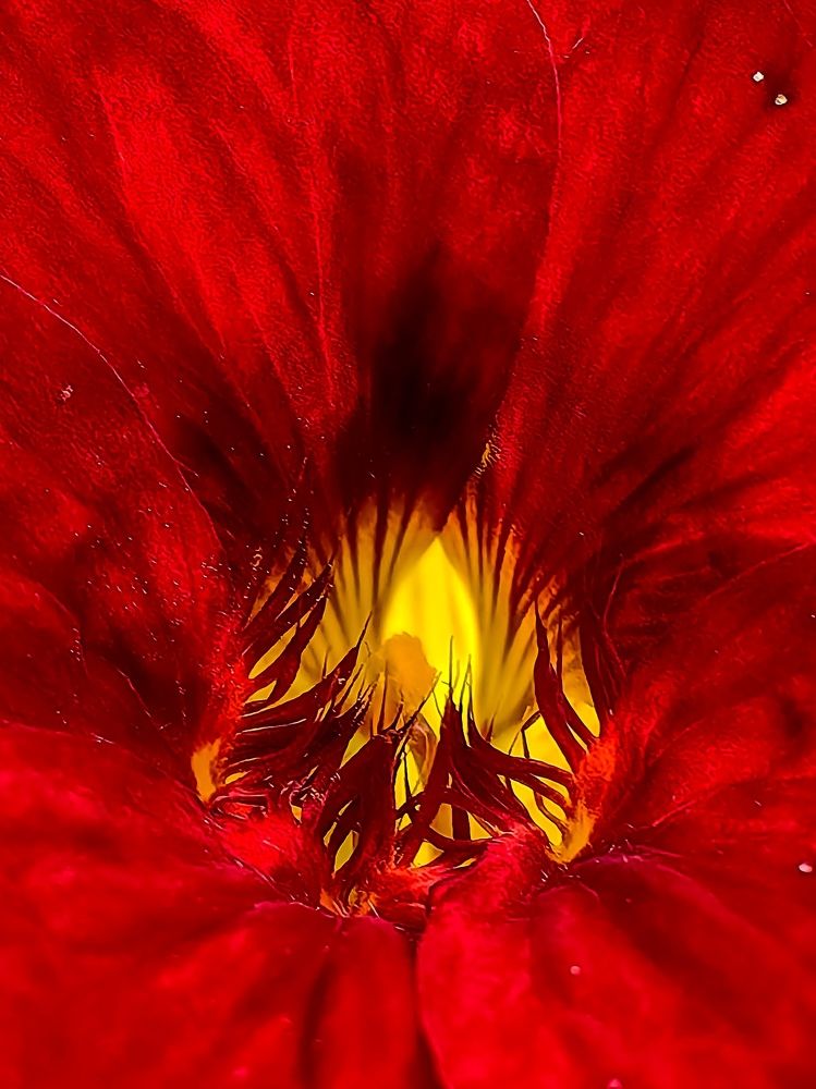 Photograph by Светлана Хамидулина