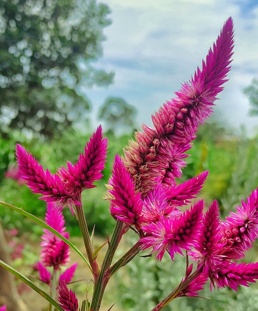 Photograph by Jorge Giol - El Caminante