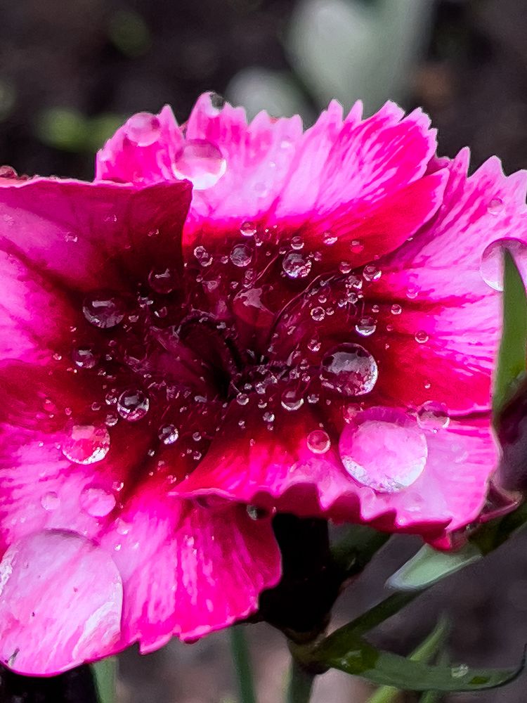 Photograph by Полина Мельникова