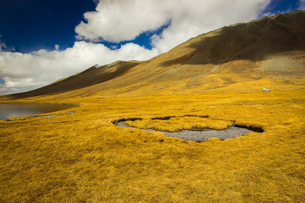 Фотография автора Fawad Hashmi
