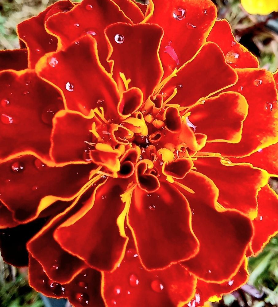 Photograph by Евгений Савулькин