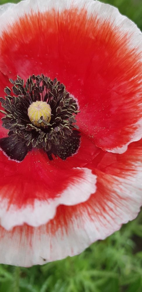 Фотография автора Ольга Мусина