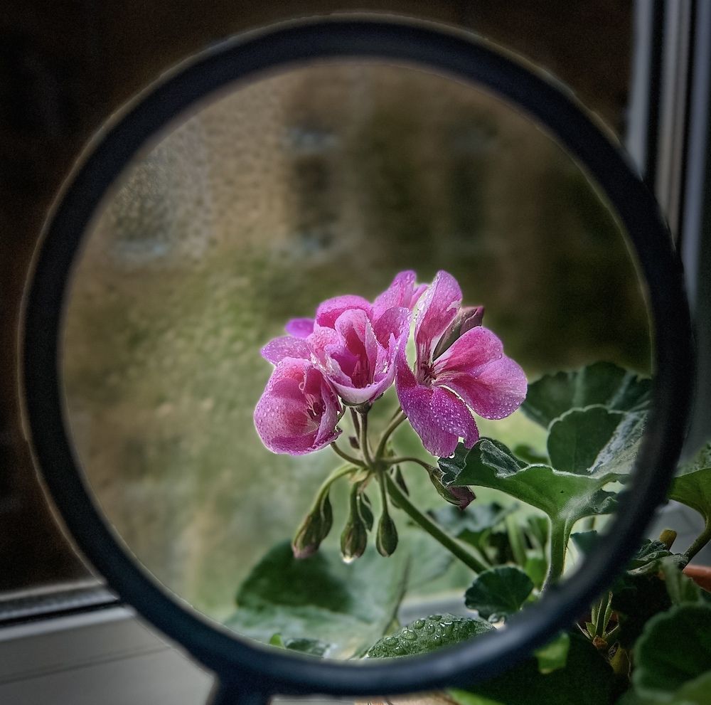 Photograph by Маргарита Нефедкина