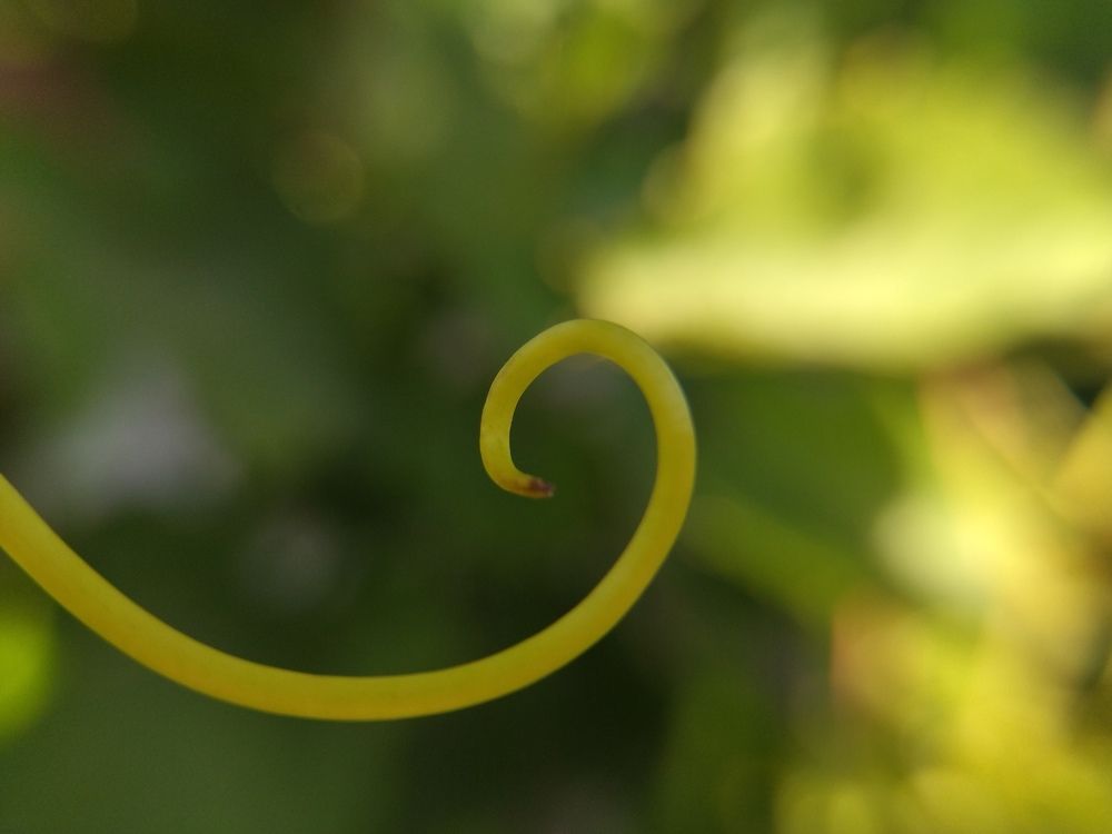 Photograph by Анна Степанова