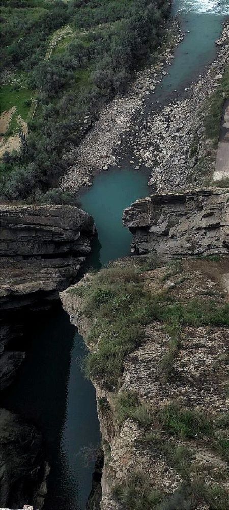 Фотография автора Людмила Чжен