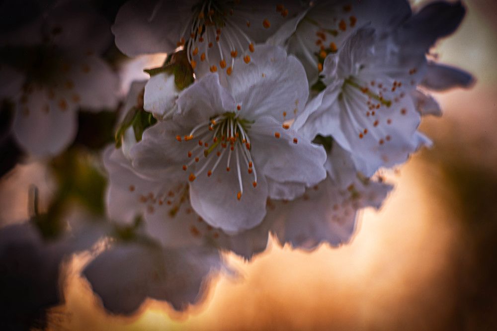 Photograph by Romina Moniri