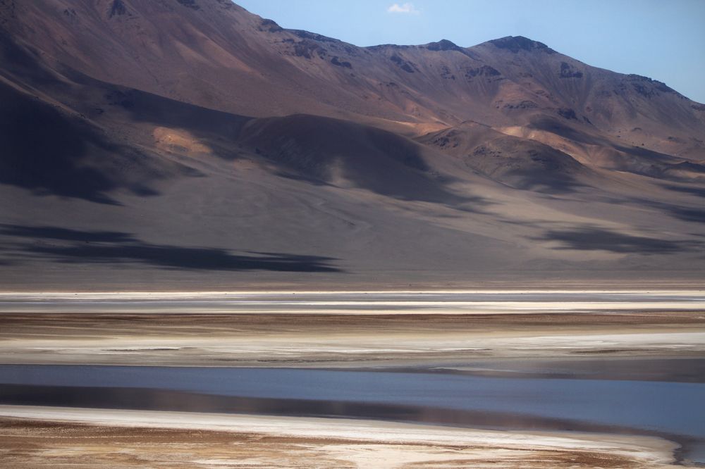 В коричневых тонах