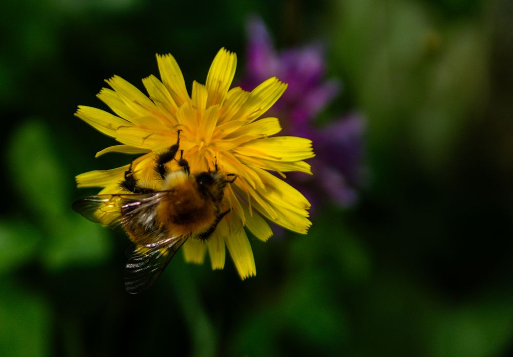 Photograph by Vjaceslavs