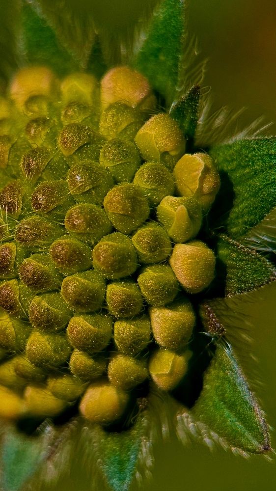 Photograph by Mariia Voloshina