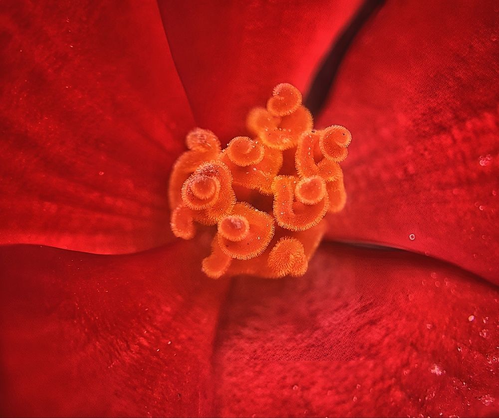 Photograph by Алексей Горин