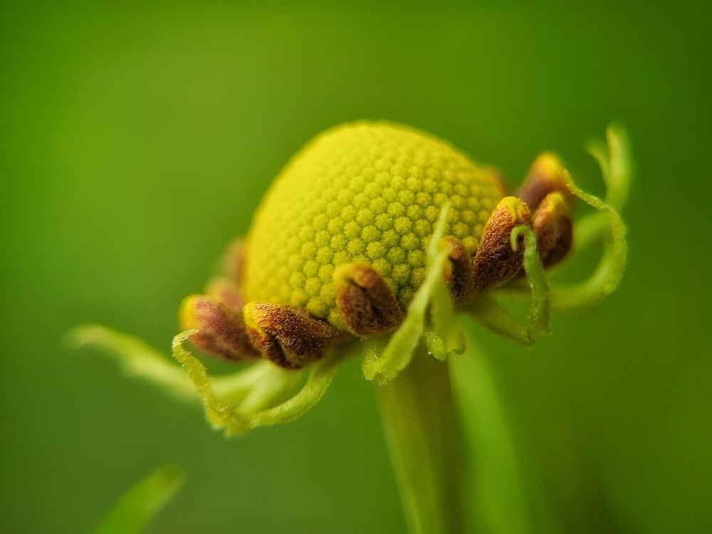 Photograph by Алексей Горин