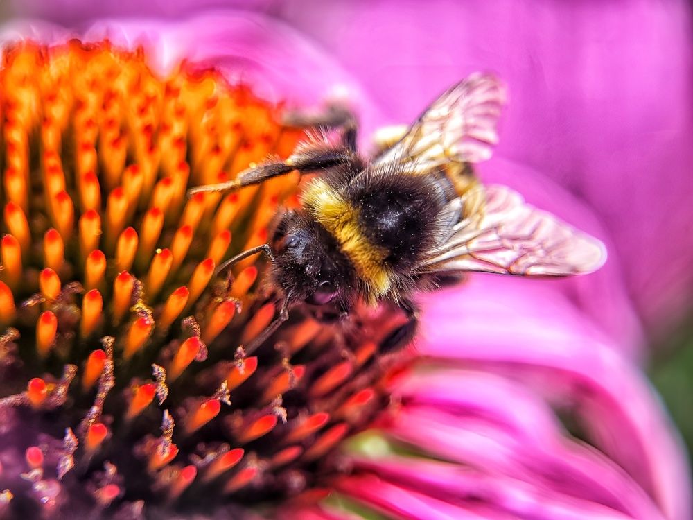 Photograph by Алексей Горин