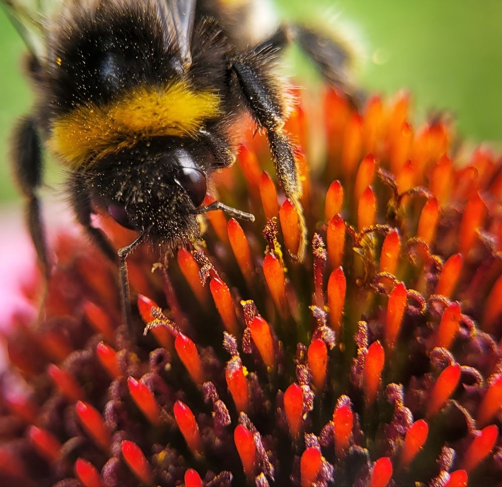 Photograph by Алексей Горин